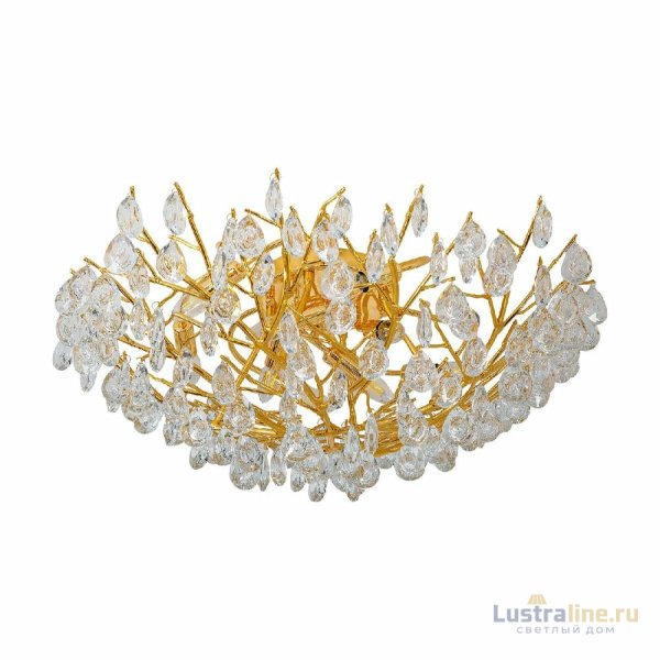 Потолочная люстра Favourite Pluvia 4162-10C Потолочная люстра Favourite Pluvia 4162-10C