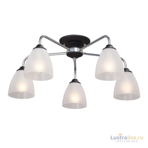 Потолочная люстра Vitaluce V3946-1/5PL