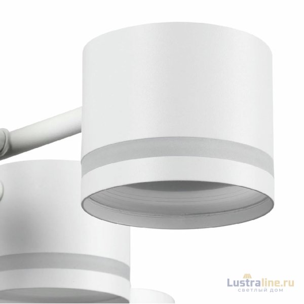 Потолочная люстра Lumion Gareta 8235/12C