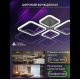 Потолочная люстра Natali Kovaltseva Opti LED LAMPS 81108/2C