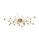 Потолочная люстра Freya Celebrity FR5242CL-24BS