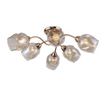 Потолочная люстра Lussole Lgo Cochise LSP-8086