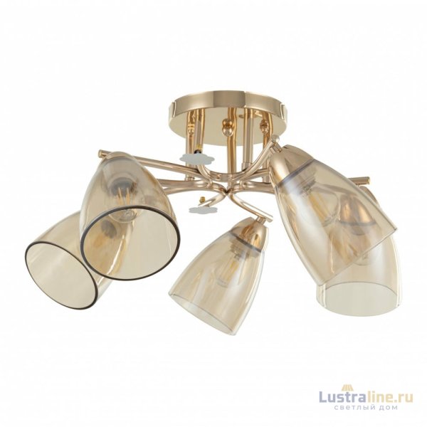 Потолочная люстра Arte Milano Amalfi 326419/5 FG+WH