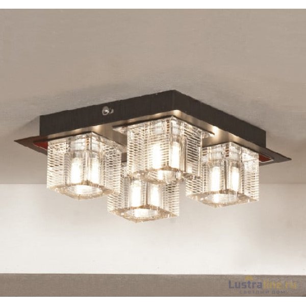 Потолочная люстра Lussole Notte di luna LSF-1307-04 Потолочная люстра Lussole Notte di luna LSF-1307-04