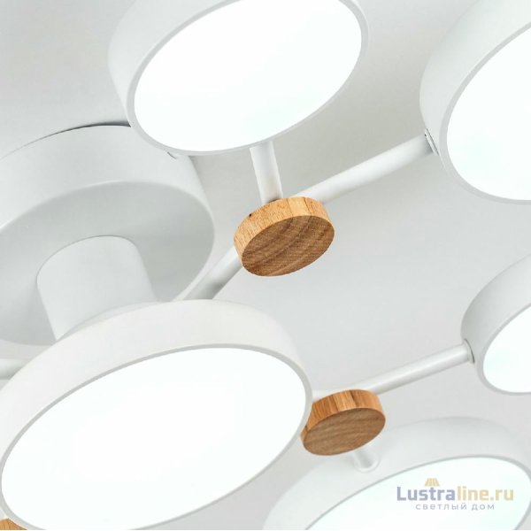 Потолочная люстра LED4U L3201-780 WT