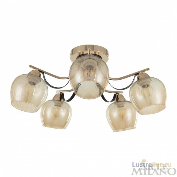 Потолочная люстра Arte Milano Amalfi 322306/5 FG+BK Потолочная люстра Arte Milano Amalfi 322306/5 FG+BK