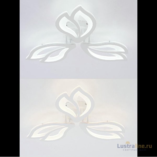 Потолочная люстра Natali Kovaltseva Fortuna LED LAMPS 81107/2C Потолочная люстра Natali Kovaltseva Fortuna LED LAMPS 81107/2C