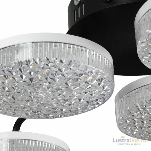 Потолочная люстра Lumion Didana 8236/6CL Потолочная люстра Lumion Didana 8236/6CL