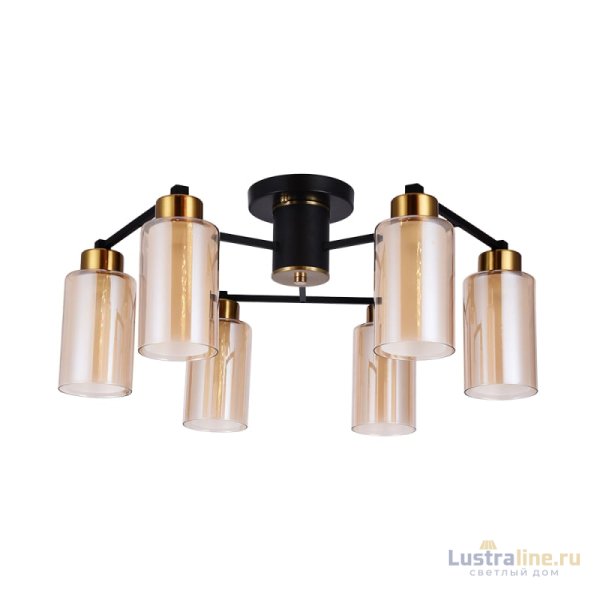 Потолочная люстра Arte Lamp Leo A7027PL-6BK Потолочная люстра Arte Lamp Leo A7027PL-6BK