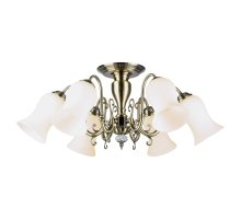 Потолочная люстра Lussole Anaheim LSP-8026