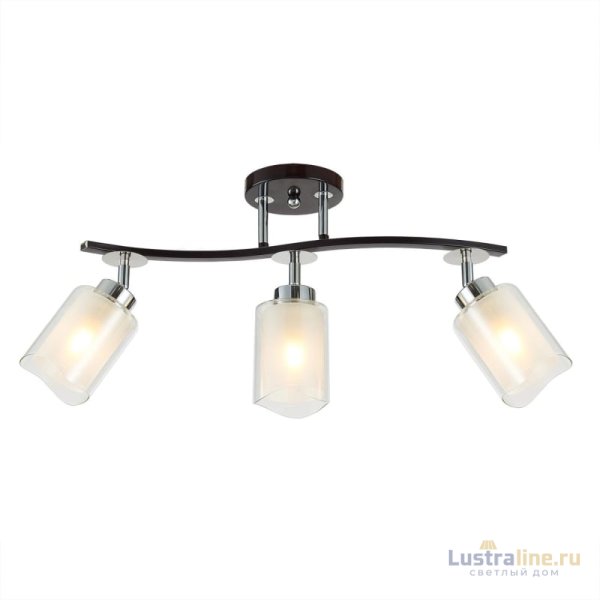 Потолочная люстра Citilux Фортуна CL156132 Потолочная люстра Citilux Фортуна CL156132