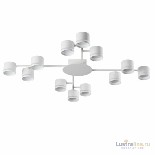 Потолочная люстра Lumion Gareta 8235/12C