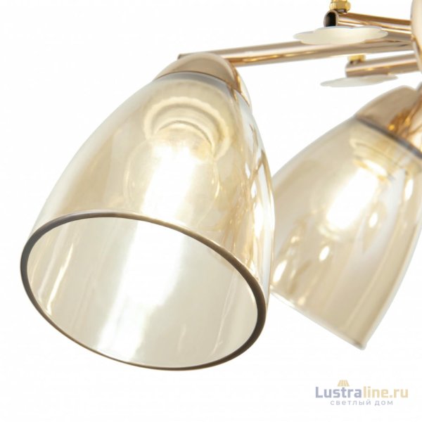 Потолочная люстра Arte Milano Amalfi 326419/5 FG+WH