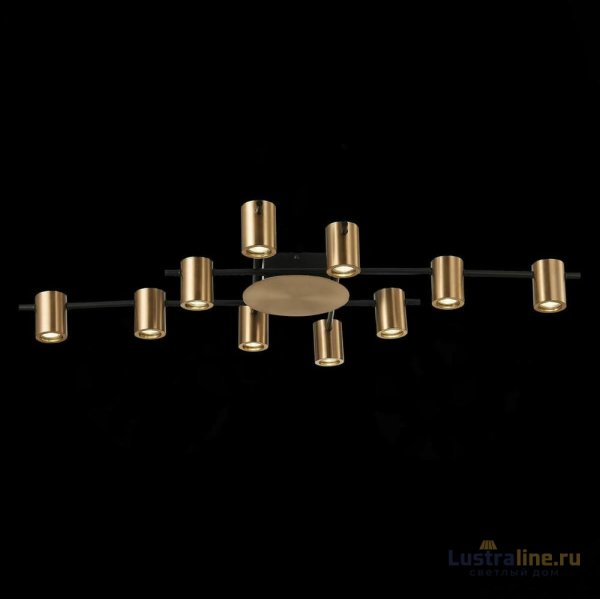Потолочная люстра ST Luce Veroli SL1207.402.10