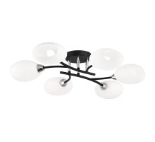 Потолочная люстра Citilux Флорида CL148165 Потолочная люстра Citilux Флорида CL148165