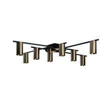 Потолочная люстра Loft IT Tribes 8120C-8