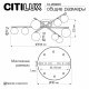 Потолочная люстра Citilux Glob CL209291