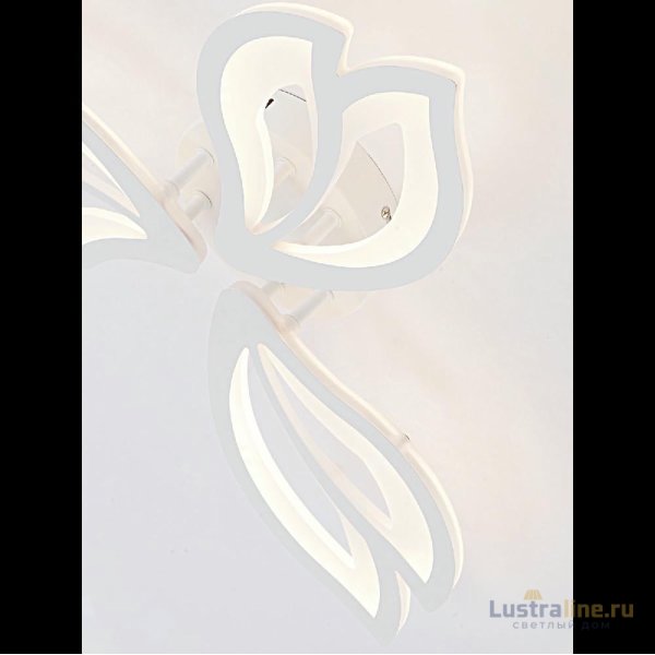 Потолочная люстра Natali Kovaltseva Fortuna LED LAMPS 81107/2C Потолочная люстра Natali Kovaltseva Fortuna LED LAMPS 81107/2C
