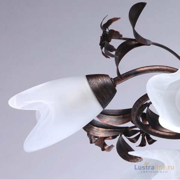 Потолочная люстра MW-Light Аида 323013708