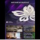Потолочная люстра Natali Kovaltseva Fortuna LED LAMPS 81107/4C