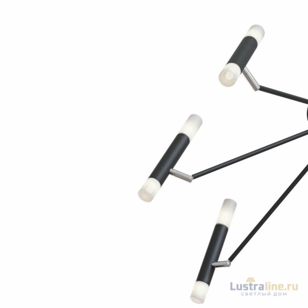 Потолочная люстра Maytoni Vigo MOD620CL-16B