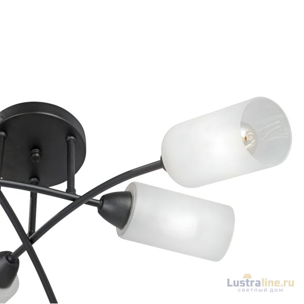 Потолочная люстра Vitaluce V4188-1/6PL Потолочная люстра Vitaluce V4188-1/6PL