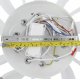 Потолочная люстра Natali Kovaltseva Fortuna LED LAMPS 81107/4C