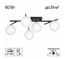 Потолочная люстра Citilux Dorsy CL223152