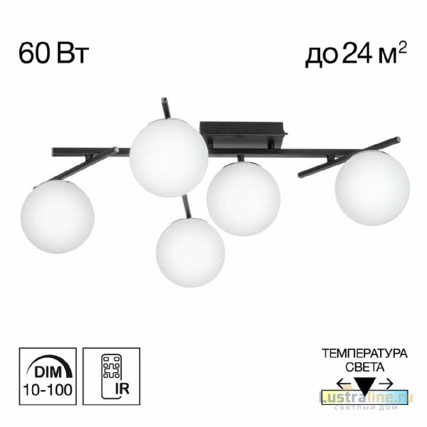 Потолочная люстра Citilux Dorsy CL223152 Потолочная люстра Citilux Dorsy CL223152