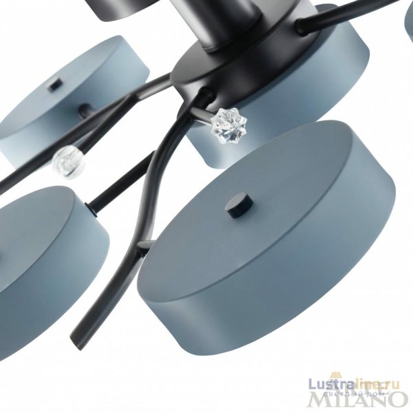 Потолочная люстра Arte Milano Ferrara 256606/8+1 Bk/Gr Потолочная люстра Arte Milano Ferrara 256606/8+1 Bk/Gr