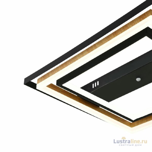 Потолочная люстра Escada Lagom 10249/2LED Потолочная люстра Escada Lagom 10249/2LED