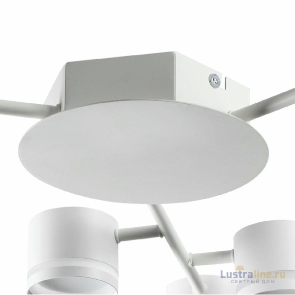 Потолочная люстра Lumion Gareta 8235/9C