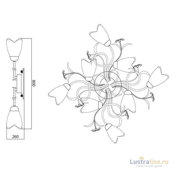 Потолочная люстра MW-Light Аида 323013708