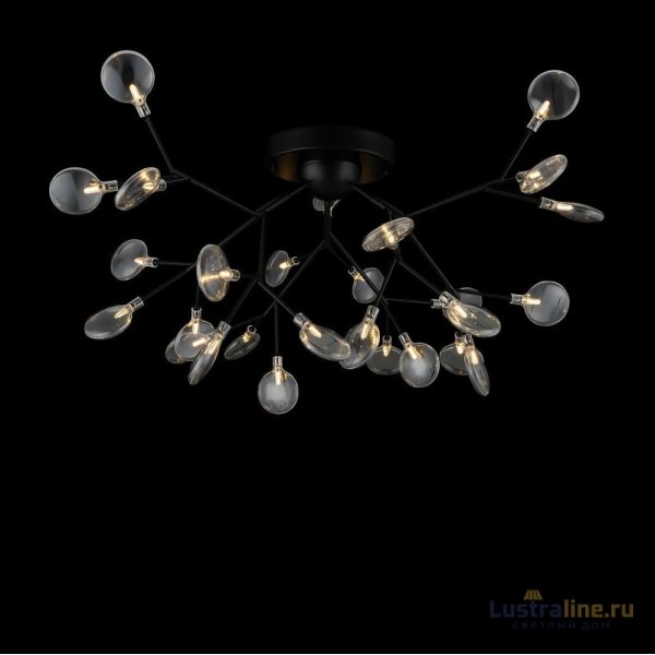 Потолочная люстра Freya Florencia FR5049CL-27B