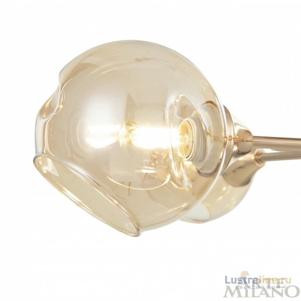 Потолочная люстра Arte Milano Amalfi 327206/5 FG Потолочная люстра Arte Milano Amalfi 327206/5 FG