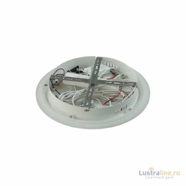 Потолочная люстра Lumion Alberta 8029/95CL