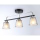Потолочная люстра Ambrella Light Modern TR303235
