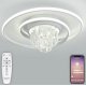 Потолочная люстра Natali Kovaltseva Crystal LED LAMPS 81115/1C