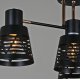 Потолочная люстра Reluce 06074-3.3-04 BK+FG