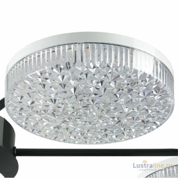 Потолочная люстра Lumion Didana 8236/7CL Потолочная люстра Lumion Didana 8236/7CL