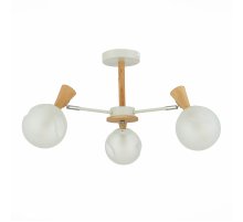 Потолочная люстра Evoluce Catania SLE220702-03 Потолочная люстра Evoluce Catania SLE220702-03