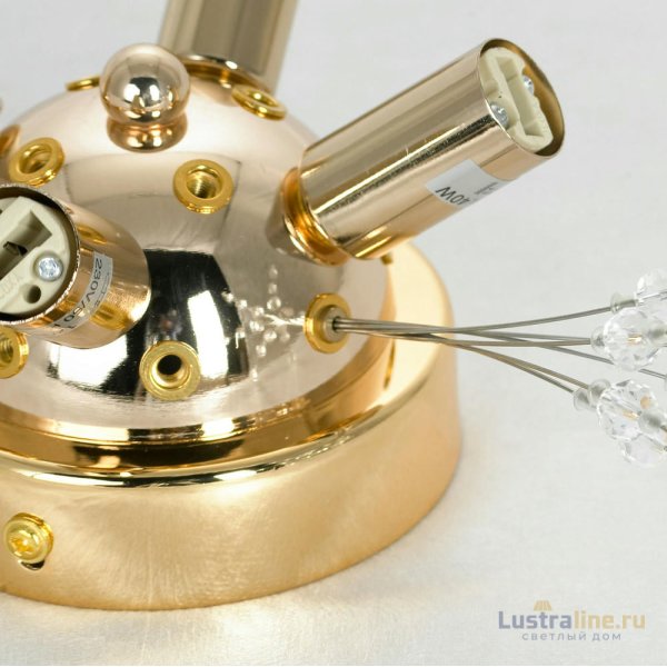 Потолочная люстра Lussole Davie LSP-8781