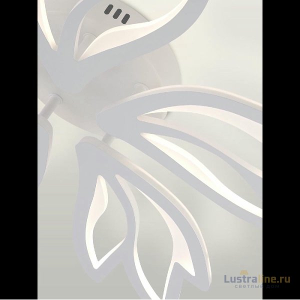 Потолочная люстра Natali Kovaltseva Rif LED LAMPS 81118/4C Потолочная люстра Natali Kovaltseva Rif LED LAMPS 81118/4C