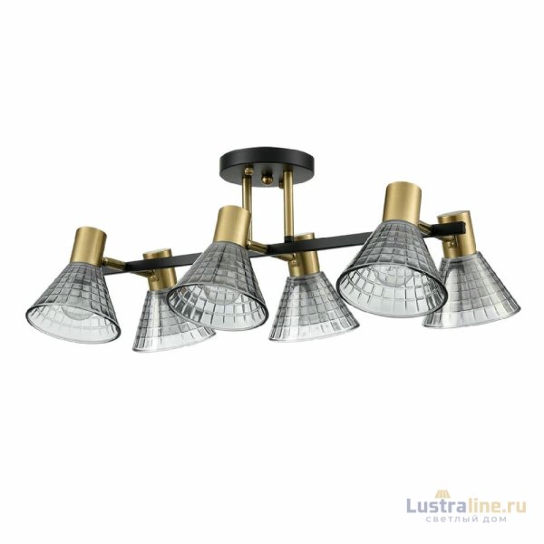 Потолочная люстра Lumion Anriya 8044/6C