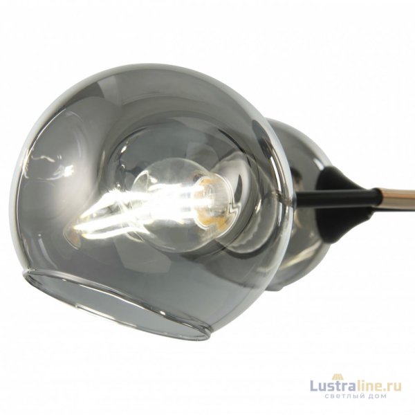 Потолочная люстра Arte Milano Amalfi 328419/3 FG+BK Потолочная люстра Arte Milano Amalfi 328419/3 FG+BK