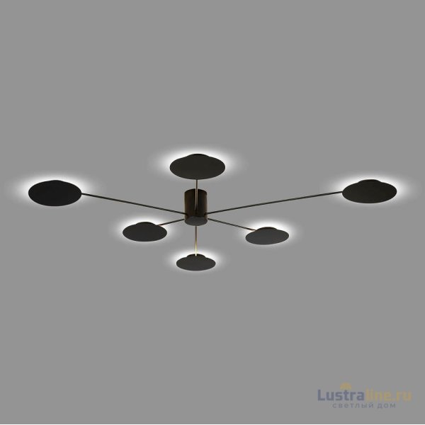 Потолочная люстра ST Luce Tondo SL6006.402.06 Потолочная люстра ST Luce Tondo SL6006.402.06