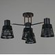 Потолочная люстра Reluce 06074-3.3-04 BK+FG
