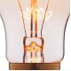 Лампа накаливания Loft IT E27 60W прозрачная 1004-C