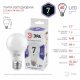 Лампа светодиодная Эра E27 7W 6000K LED A60-7W-860-E27 Б0044087