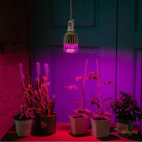 Лампа светодиодная для растений (11098) Uniel E27 20W прозрачная LED-M80-20W/SP/E27/CL ALS55WH